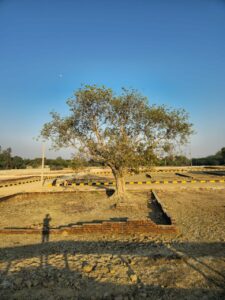 RAEBARELI ROAD