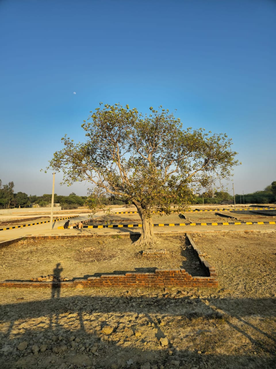RAEBARELI ROAD