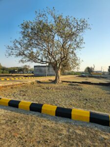 RAEBARELI ROAD