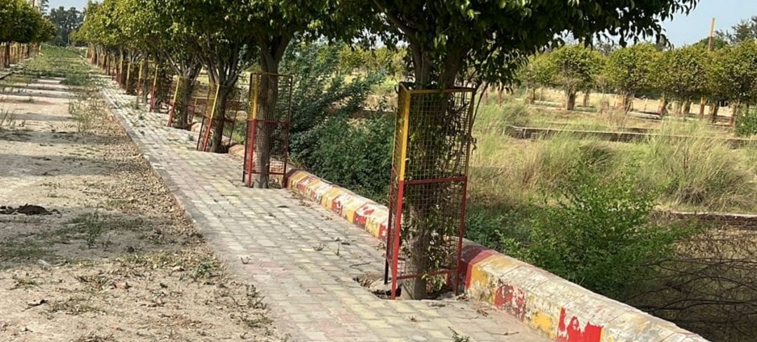 DEVA ROAD